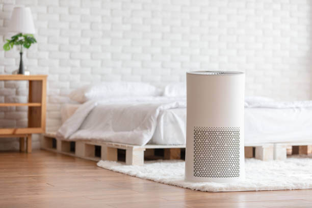 Kenali Manfaat Air Purifier yang Sehat untuk Hunian