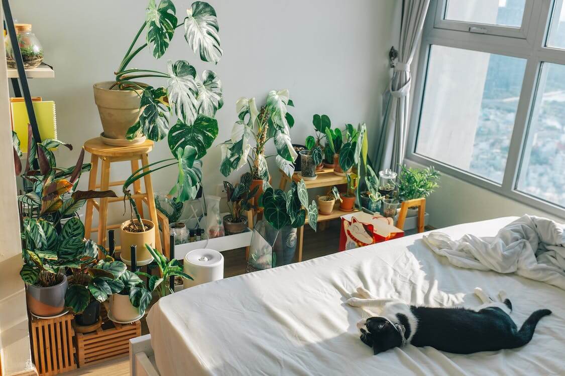 Inspirasi Desain Kamar Tidur Semakin Indah dan Asri dengan Tanaman