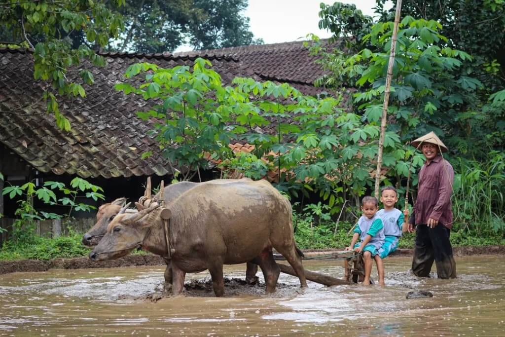 Desa Wisata Lerep Ungaran