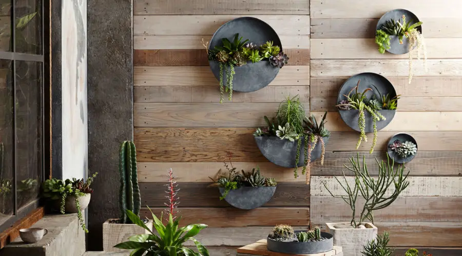 Vertical Garden: Sentuhan Hijau Penuh Manfaat untuk Lahan Sempit