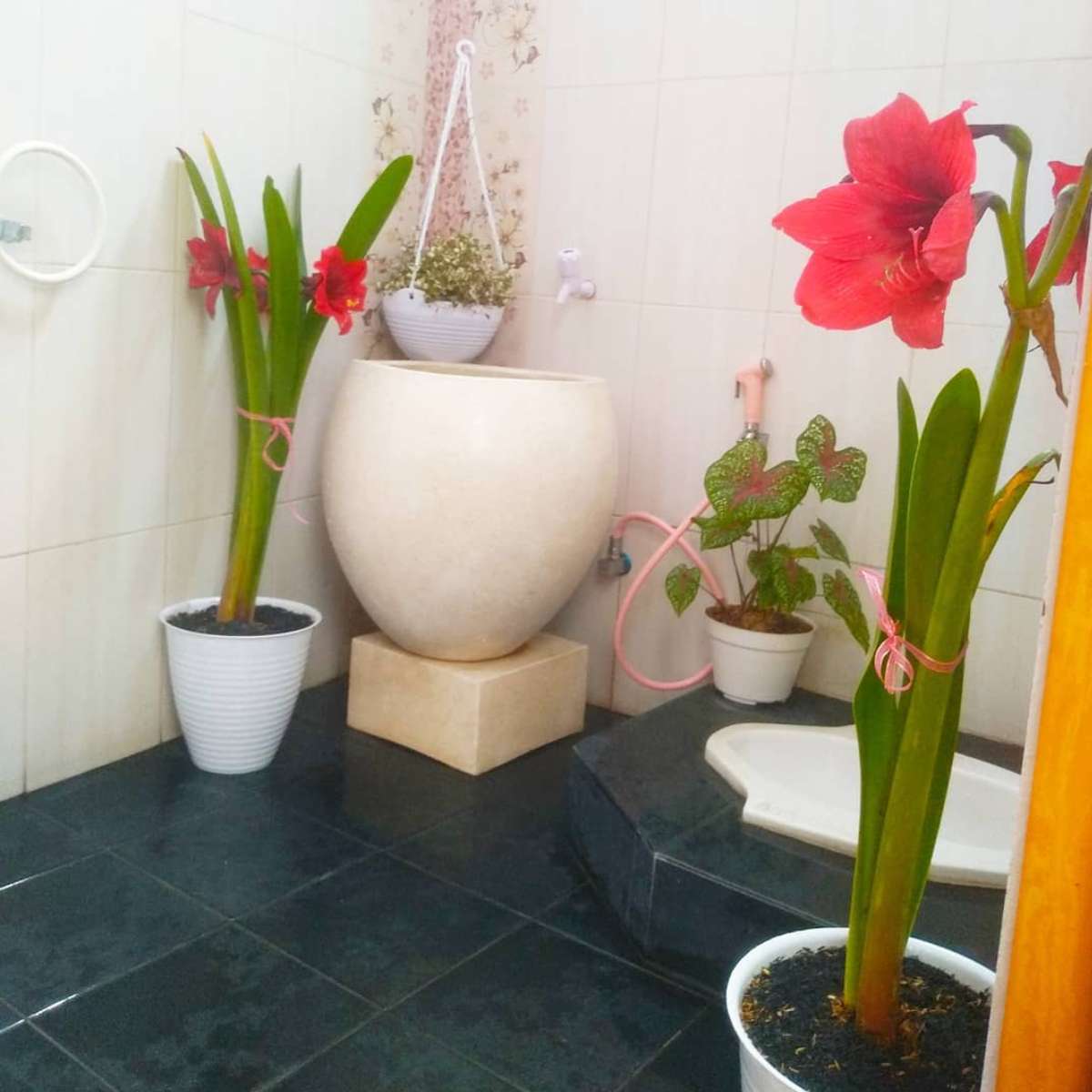 8 Inspirasi Desain WC Jongkok Modern untuk Kamar Mandi Anda, Inovasi untuk Kenyamanan dan Estetika