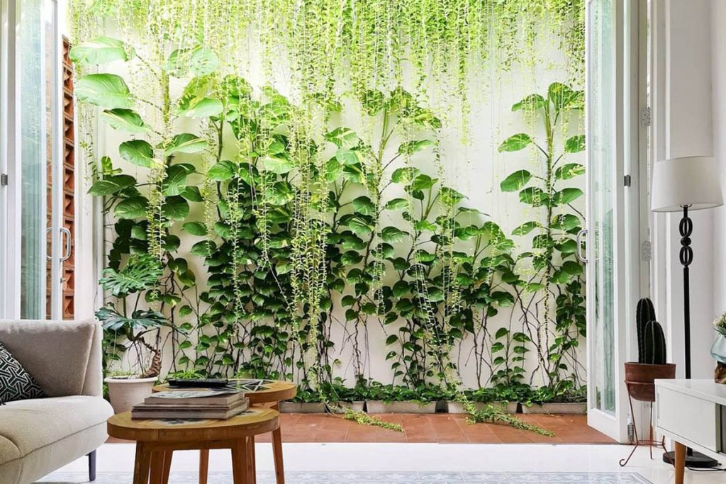 Taman semi-outdoor di samping rumah dengan desain vertikal garden memberikan kesan terbuka namun tetap nyaman dan asri.