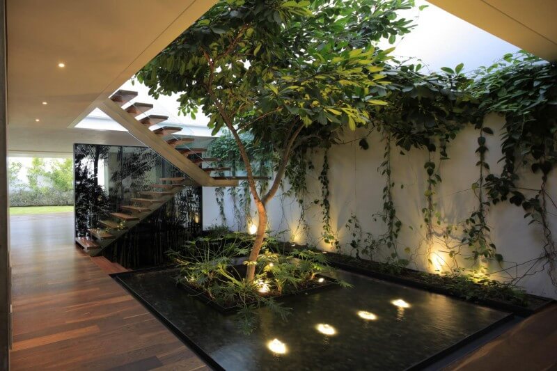 Taman indoor dengan kolam ikan di tengah rumah, dihiasi pepohonan hijau dan tanaman hias.